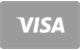 Visa platební karta v GreenLuck Casino